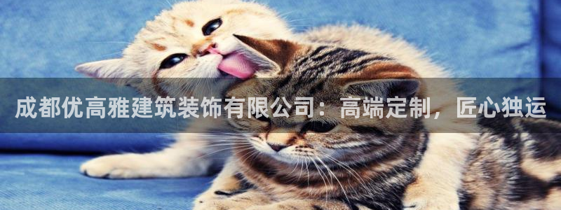 萧山娱乐新航母阿里巴巴