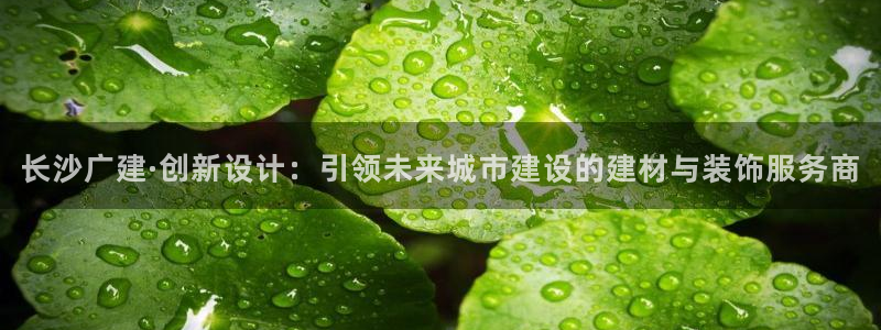 新航娱乐官方