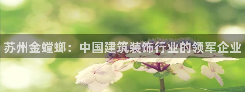 新航娱乐属于什么级别