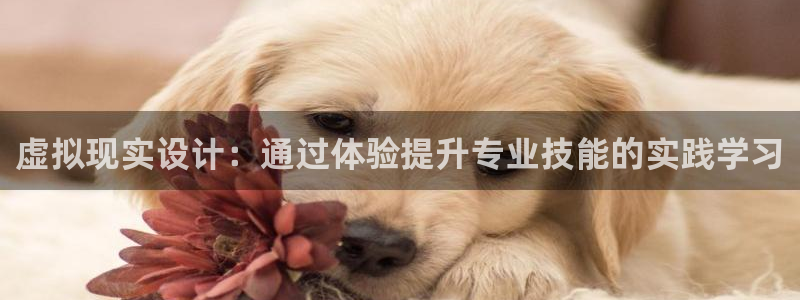 中国证券新航娱乐官网