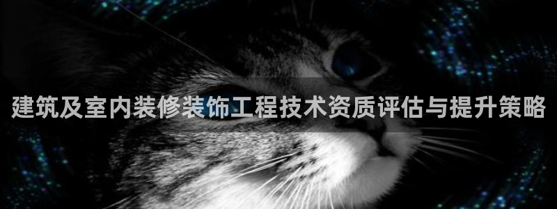 新航娱乐公司艺人招聘