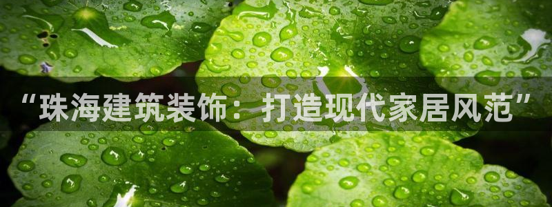 新航娱乐app下载安卓