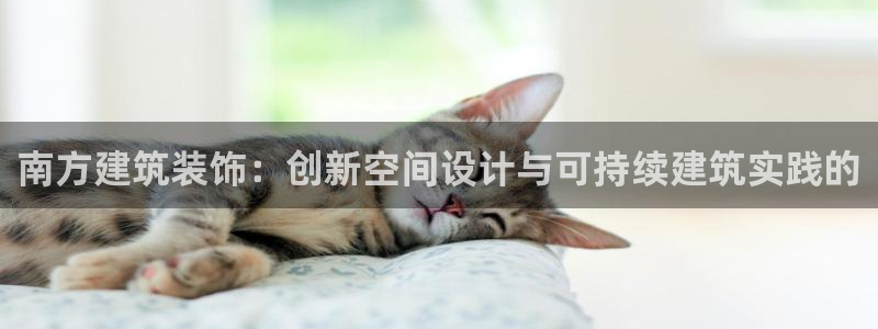 新航娱乐传媒招聘信息