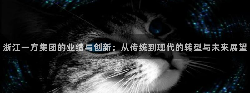 新航娱乐公司怎么样知乎