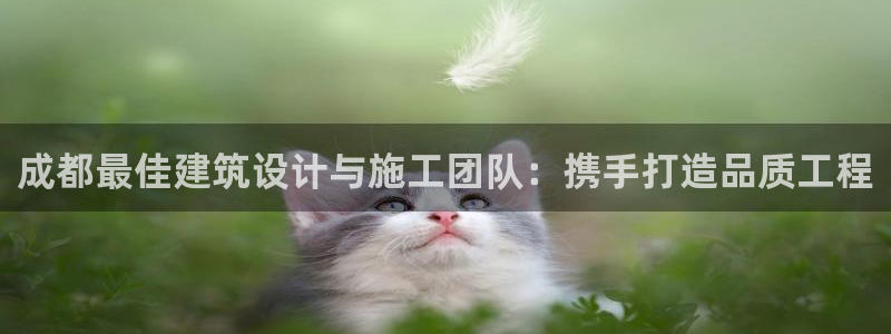 萧山娱乐新航母阿里巴巴