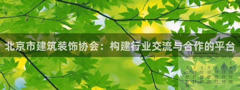 新航头等舱套房娱乐屏