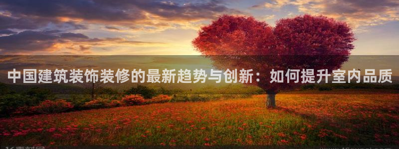 新航娱乐观
