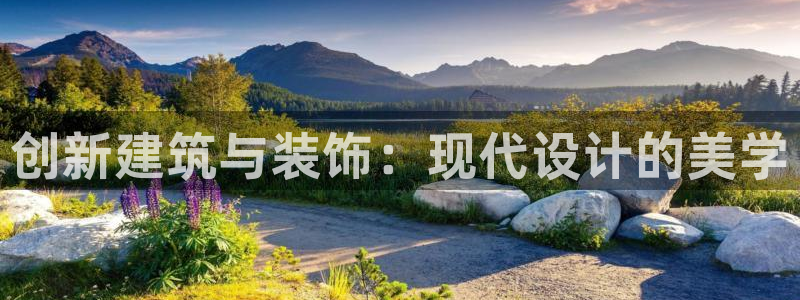 新航娱乐公司招聘信息网