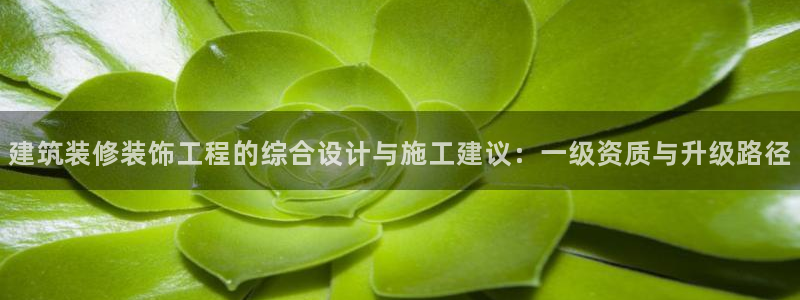 新航娱乐公司简介