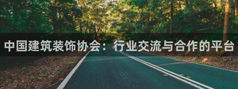 新航 娱乐系统