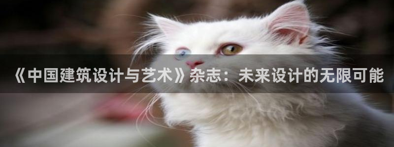 新航娱乐有限公司怎么样