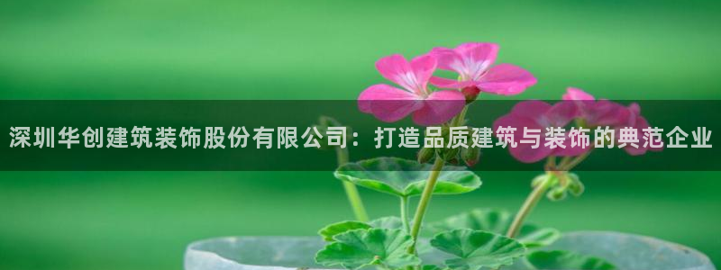 新航娱乐传媒招聘电话