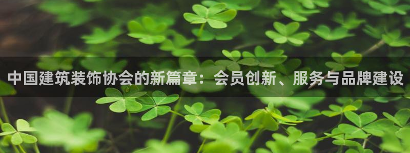 新航国际娱乐