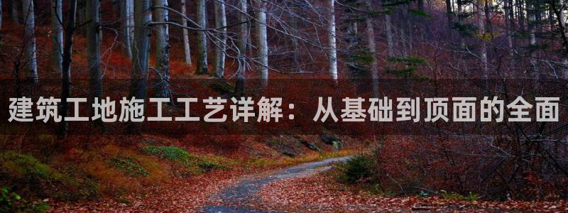 新航城娱乐传媒有限公司