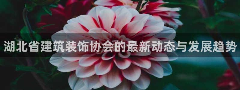新航娱乐街7O935