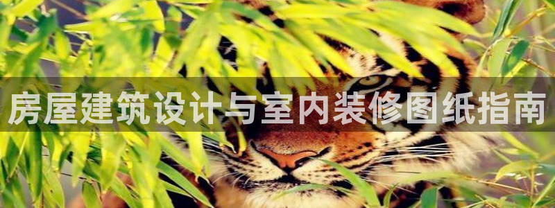 新航娱乐旗下平台有哪些
