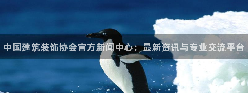 新航文化娱乐传媒招聘