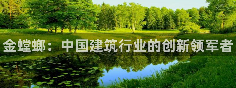 新航娱乐黑