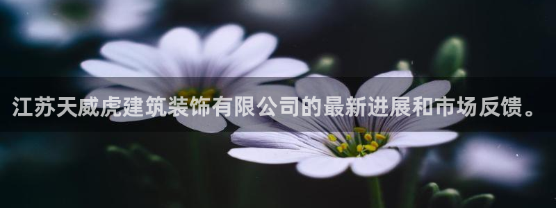 新航娱乐怎么样知乎