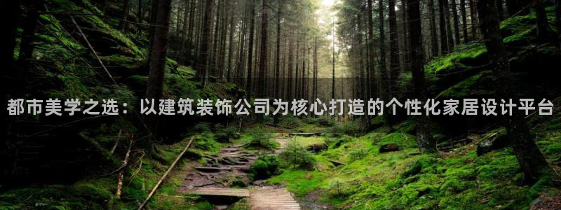 娱乐新航母