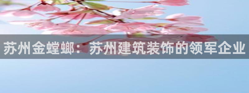 新航娱乐公司旗下艺人