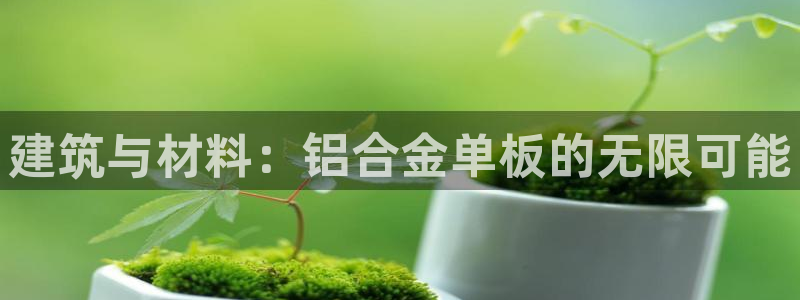 新航娱乐公司简介