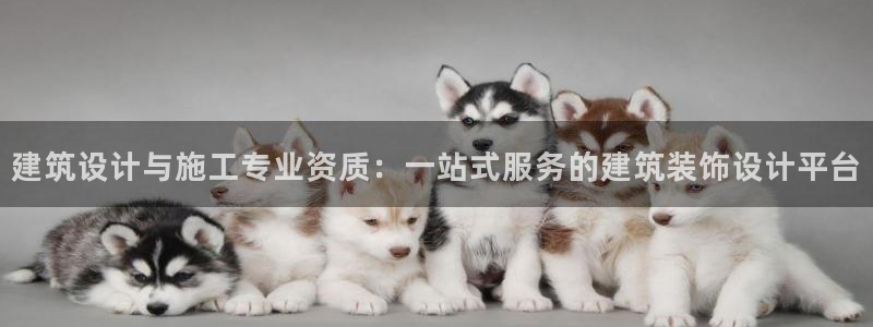 新航文化娱乐传媒