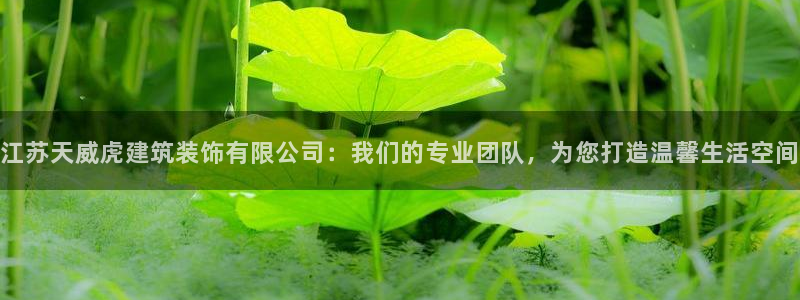 新航娱乐公司怎么样