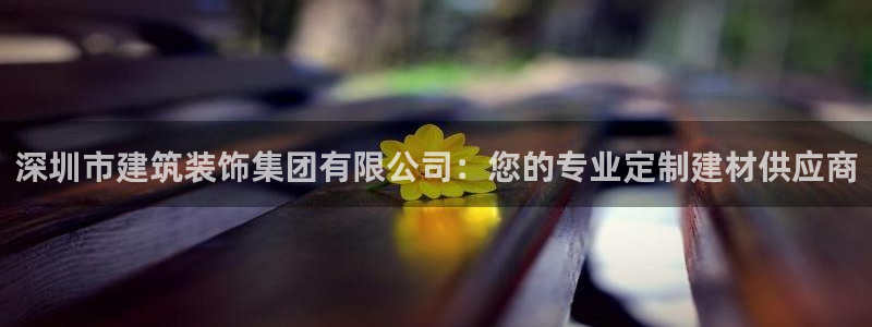 中国新航娱乐在哪个平台