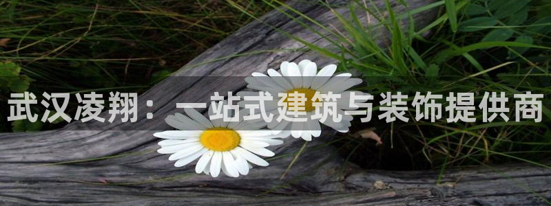 新航娱乐下载安装