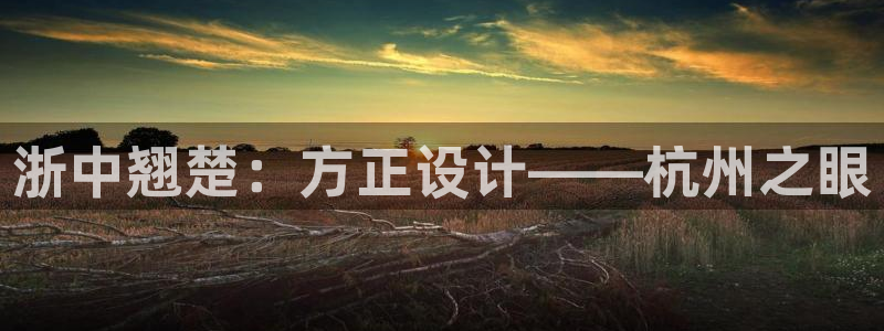 新航娱乐公司怎么样