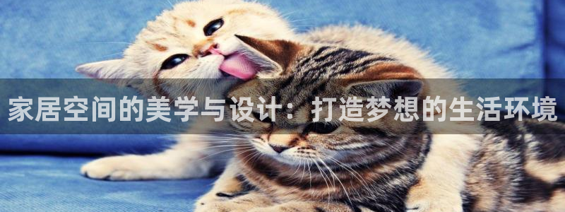 新航足浴娱乐会所