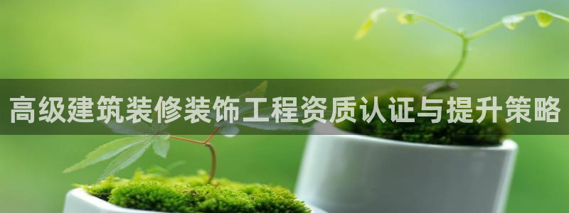 新航娱乐艺人