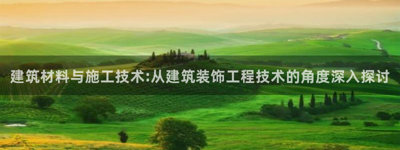 新航机上娱乐