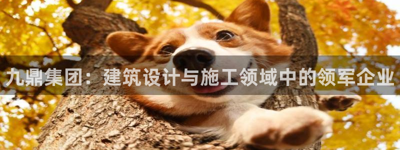 辽宁新航文化娱乐传媒