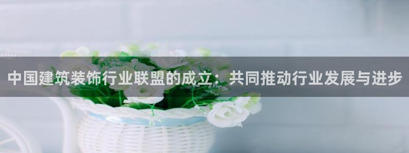 新航娱乐主管是谁