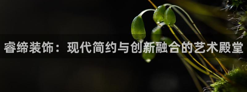 新航娱乐旗下艺人列表