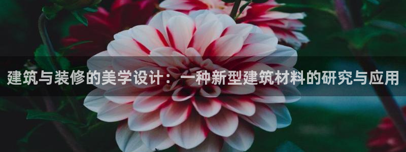 新航娱乐是干嘛的