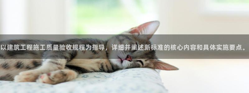 新航娱乐扣款详情