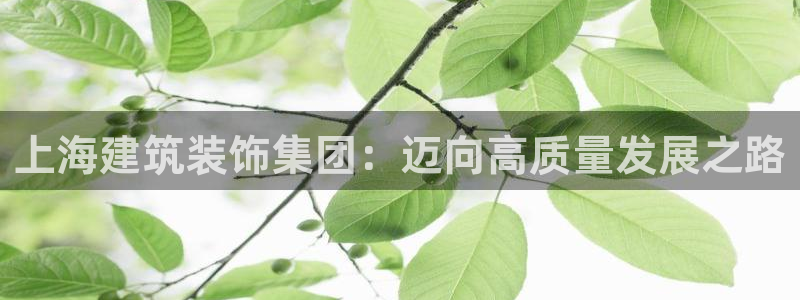 新航娱乐公司艺人招聘