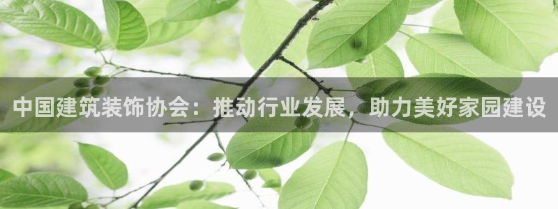新航娱乐公司艺人招聘
