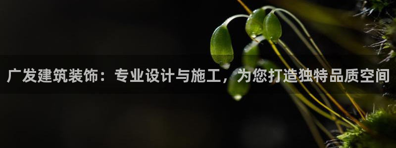 新航娱乐合法吗