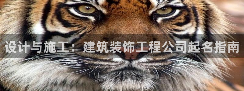岛城娱乐新航向