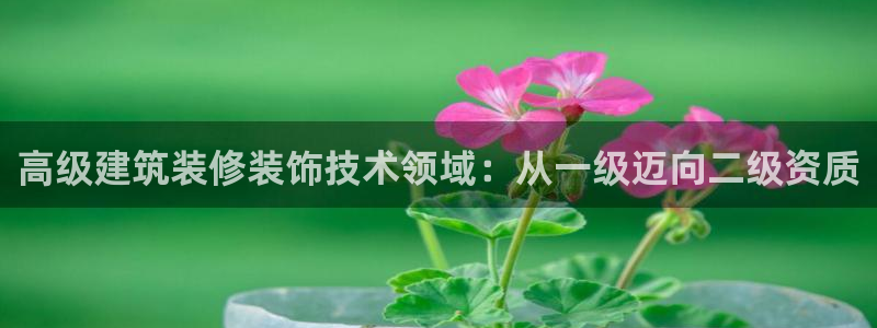 新航娱乐q