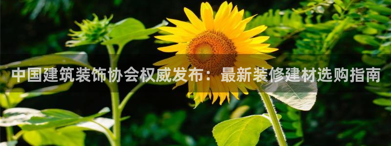 新航娱乐app官方下载