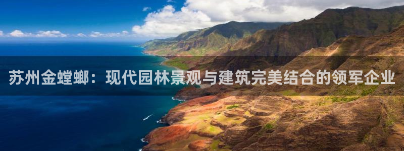 新航机上娱乐