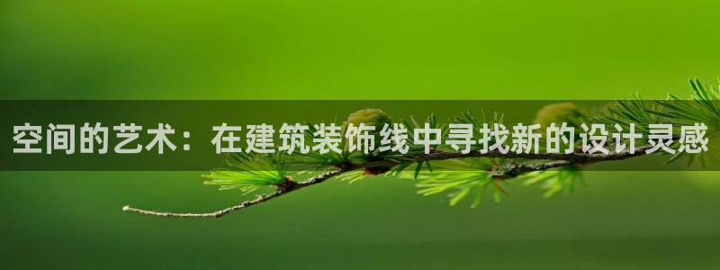 新航娱乐扣款详情
