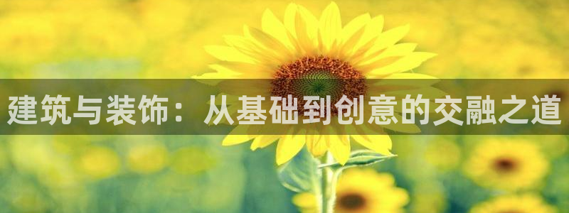 新航娱乐扣款详情