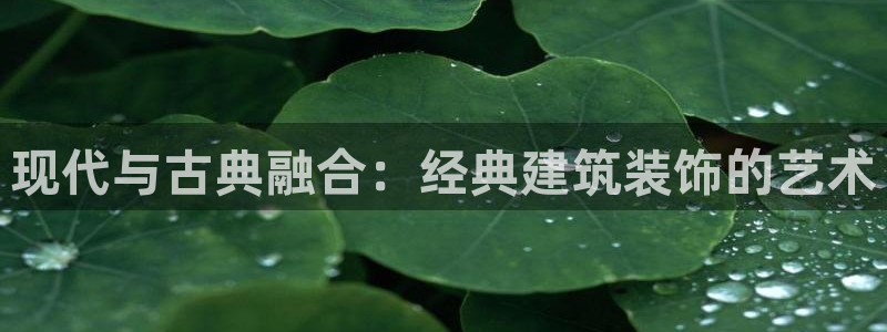 新航娱乐下载安装