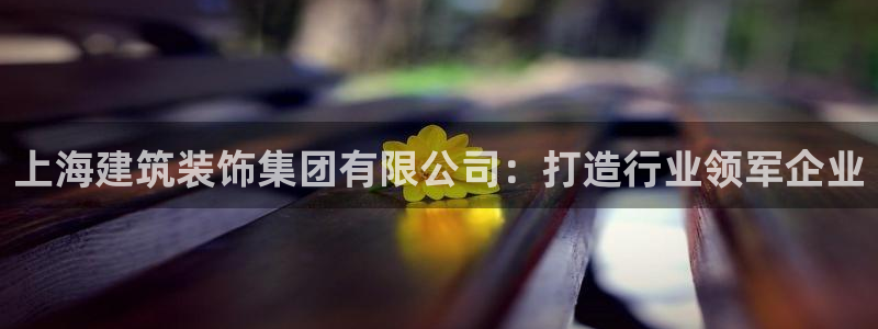 新航娱乐公司招聘信息网